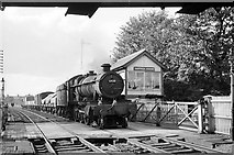 SJ6551 : Northbound freight train at Nantwich – 1963 by Alan Murray-Rust