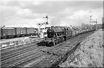 SJ6551 : Southbound freight train at Nantwich – 1963 by Alan Murray-Rust