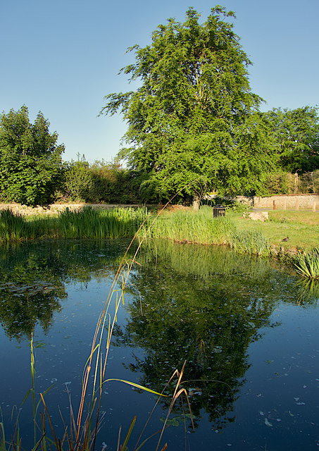 Brantingham pond