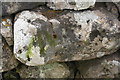 Benchmark on stone in wall on west side of Malham Rakes