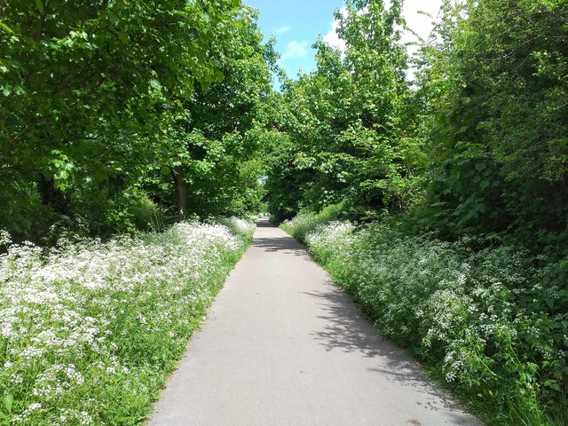 The Millennium Greenway at Kingsway