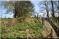 Footpath steps in railway cutting