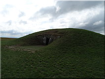 N9259 : Hill of Tara burial mound by Matthew Chadwick