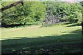 Roadside field below Cefn-goch