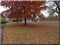 Park by Farnborough library