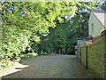 The Green Chain Walk entering Bostall Woods