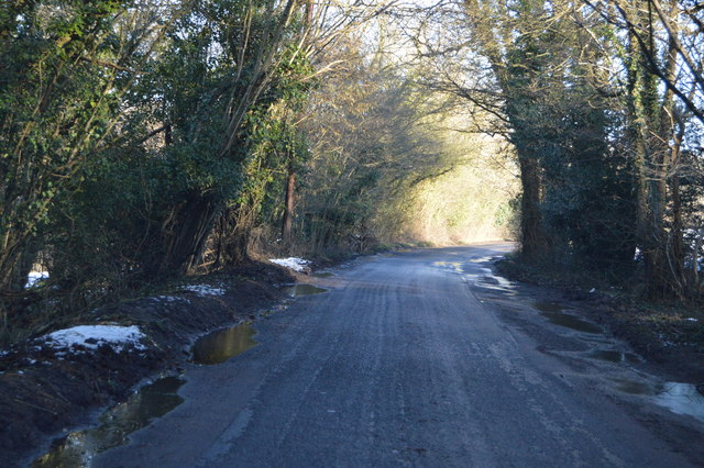 Dundale Rd, Great Sandhurst Wood © N Chadwick Cc-by-sa 2.0 :: Geograph 