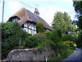 Thatch repairs on house on East Harting Street