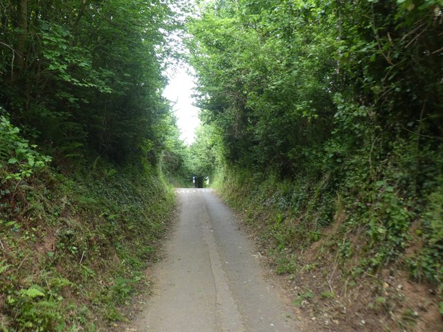 Cycle route, Hollow Lane, Exeter