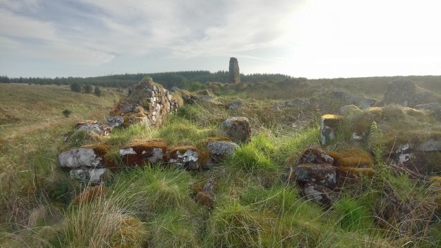 Ruins on North Bank of Whitelea Burn