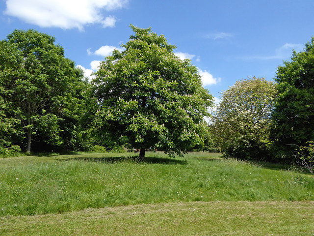 Muchall Park in Penn, Wolverhampton