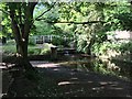 NZ2665 : Footbridge over the Ouse Burn, Jesmond Vale by Anthony Foster