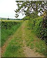 Footpath from Hidcote Boyce