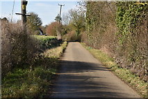 TL5532 : Rook End Lane by N Chadwick