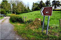 H4869 : Marshall Trail notice, Edenderry by Kenneth  Allen