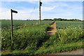 Footpath to Bolnhurst