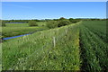 Footpath by the Great Ouse