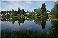 Reflections at the north end of the loch