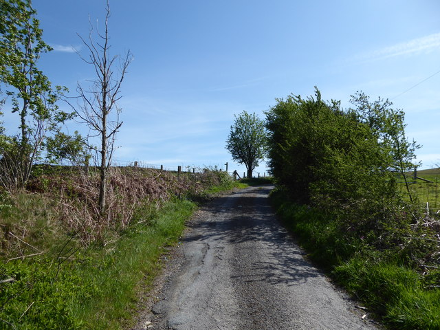 Lane at Springhill © Jeremy Bolwell cc-by-sa/2.0 :: Geograph Britain ...