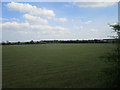 Grass field near New Vale Farm