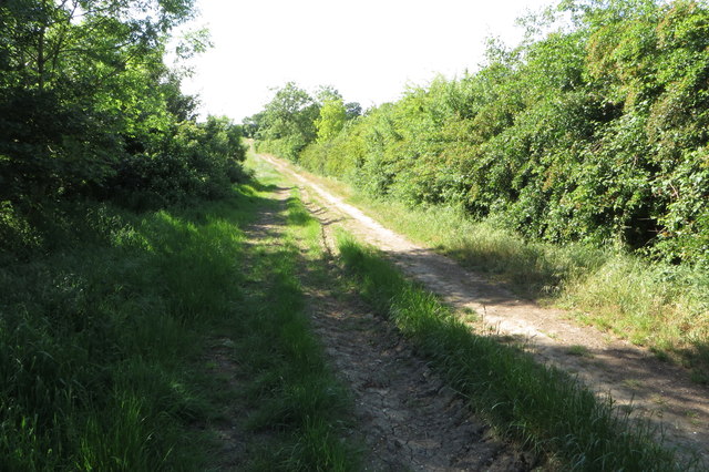 Bridleway towards Wood End