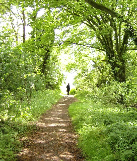 South Bucks Way towards Little Missenden