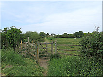 TL5065 : Footpath to Waterbeach Station by John Sutton