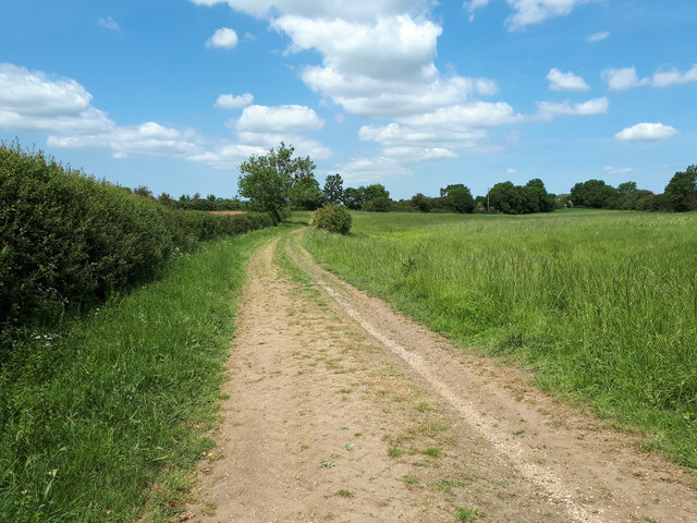 The D'Arcy Dalton Way north of Filkins © Vieve Forward :: Geograph ...