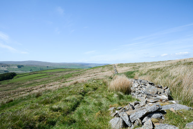 Ruined wall on grassy moorland