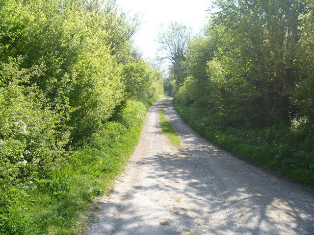 A walk from Edington to the Plain and return [15]