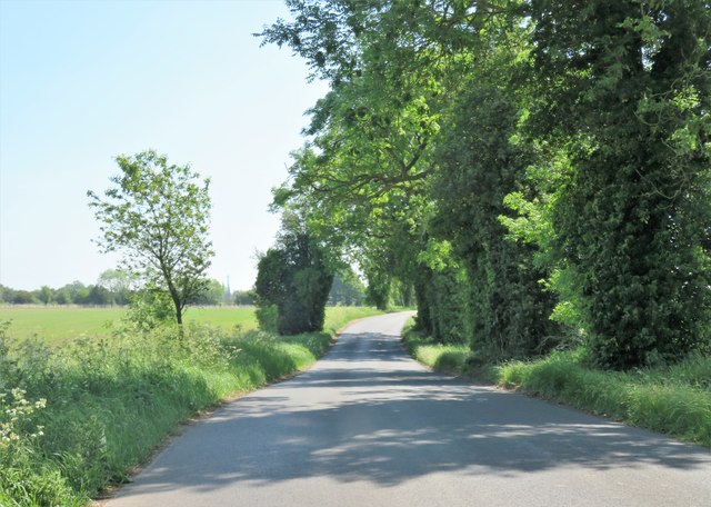 Road towards Linton on Ouse