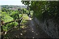 Descending Lamb Hill