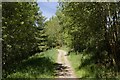 Permissive Path North of Capelshaw Beck