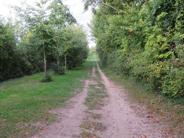 Path towards Babraham Road