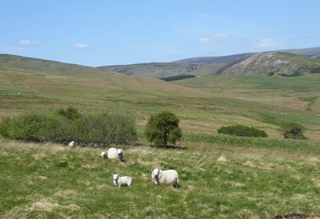 Local residents © Russel Wills :: Geograph Britain and Ireland