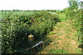 Footpath to Bolnhurst by Greensbury Farm