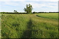 Footpath going south from Top Farm