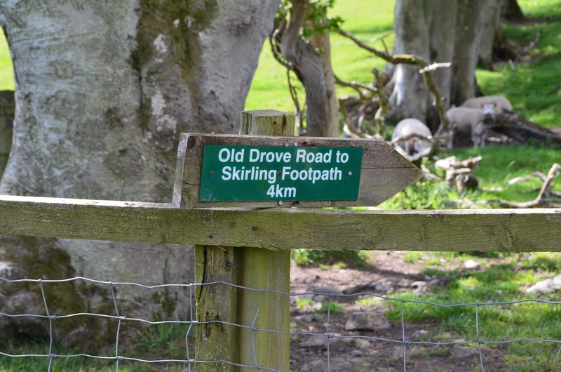 drove-road-to-skirling-jim-barton-cc-by-sa-2-0-geograph-britain