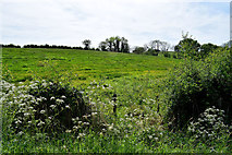 H4066 : Dunnamona Townland by Kenneth  Allen