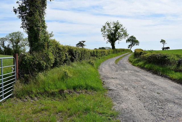 Country lane, Dunnamona © Kenneth Allen cc-by-sa/2.0 :: Geograph Ireland