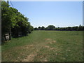 Grass field at Allington