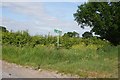 Fingerpost on Sorrell Lane