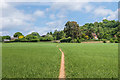 Footpath to Ede