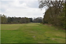 TQ2349 : Reigate Heath Golf Course by N Chadwick