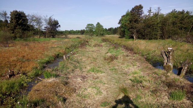 Raised Dry Strip of Land between Two Ditches on Boggy Ground