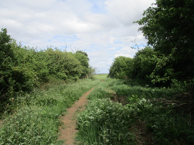Restricted byway