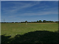 Playing fields off Ferry Lane, Stanley