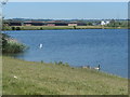 Eastern and southern shores, eastern lake, Calder Park