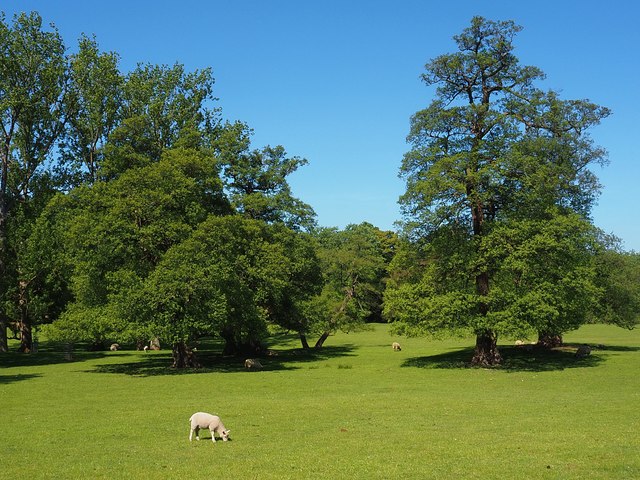 Chatsworth Park