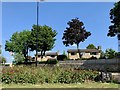 Houses on Follifoot Road